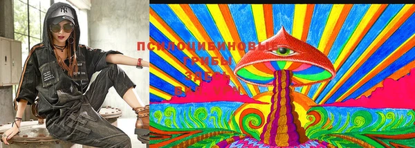 мяу мяу мука Алзамай