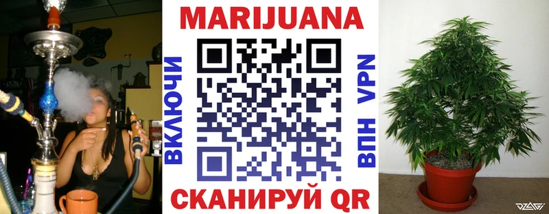 Конопля план  Купить где  Михайлов 